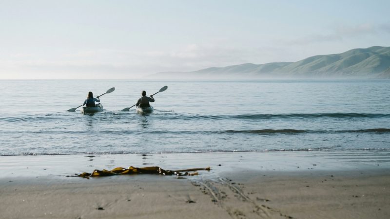 Kayakers paddling out from La Jolla Shores, San Diego